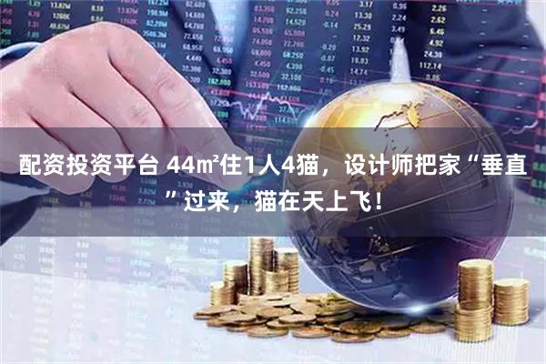 配资投资平台 44㎡住1人4猫，设计师把家“垂直”过来，猫在天上飞！