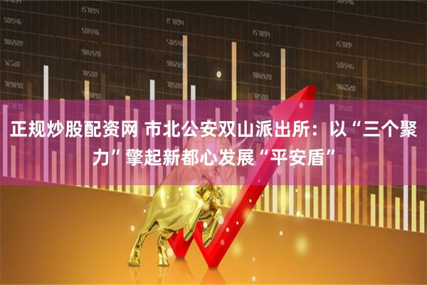 正规炒股配资网 市北公安双山派出所：以“三个聚力”擎起新都心发展“平安盾”