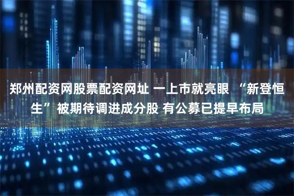 郑州配资网股票配资网址 一上市就亮眼  “新登恒生” 被期待调进成分股 有公募已提早布局