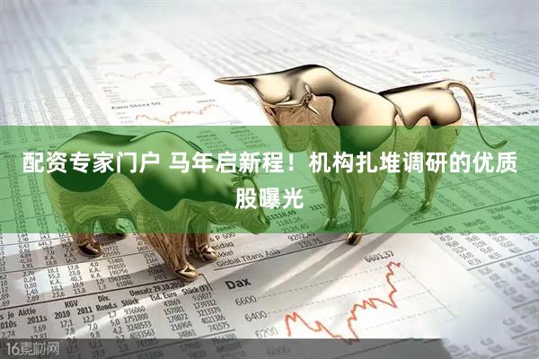 配资专家门户 马年启新程！机构扎堆调研的优质股曝光