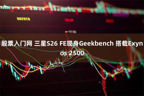 股票入门网 三星S26 FE现身Geekbench 搭载Exynos 2500